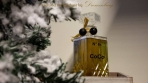 CoCo 6A